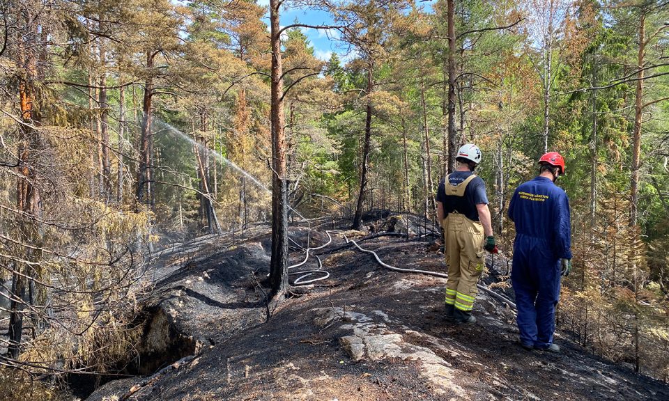 Eftersläckning i eldhärjat skogsområde. Två brandmän tittar ut över området.